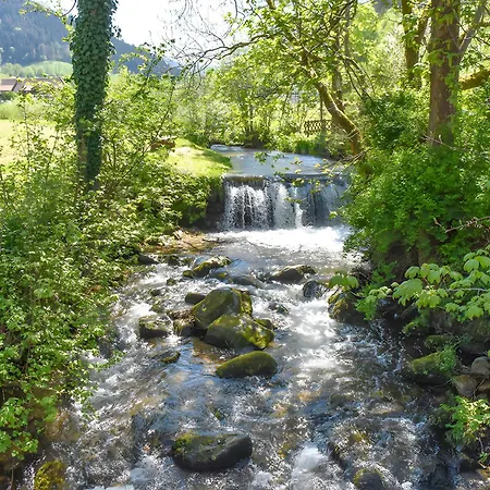 Josenhof Pensión Wolfach